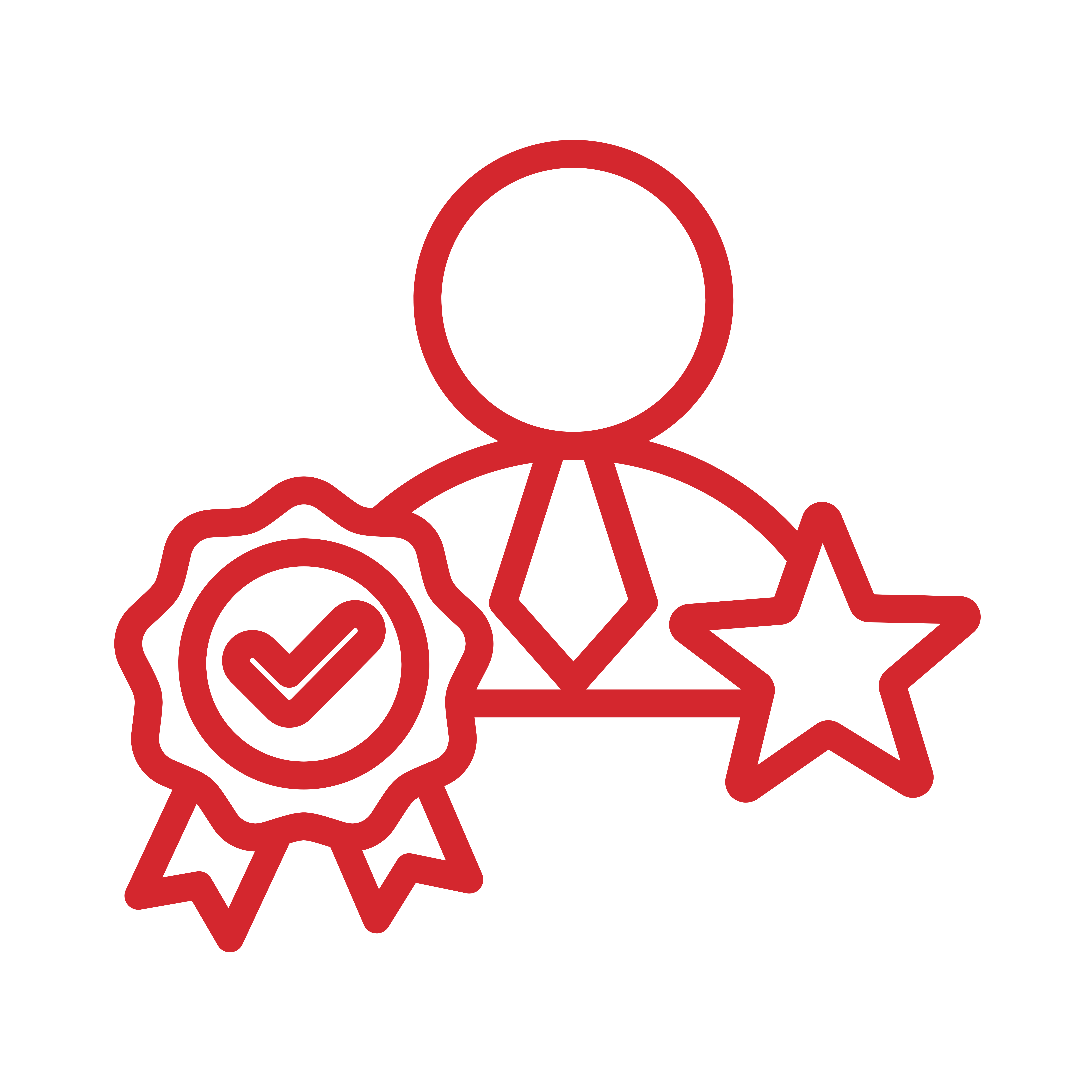 Mentor Icon