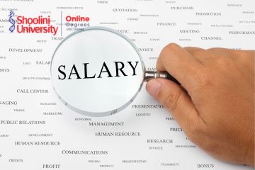 after bba jobs salary