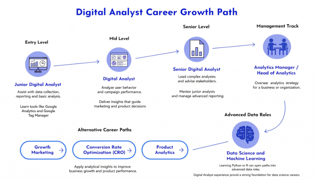 Digital Analyst career growth path from junior analyst to analytics manager and data science roles